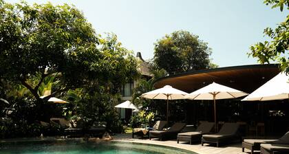 Wave House - Surf Camp