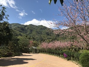 View from property - Ji-Ye leisure land (Lugu)