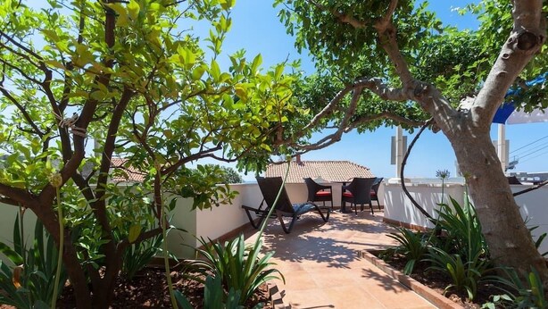A patio area with a tiled floor, surrounded by green plants and trees. - Apartments Cable car (Dubrovnik)