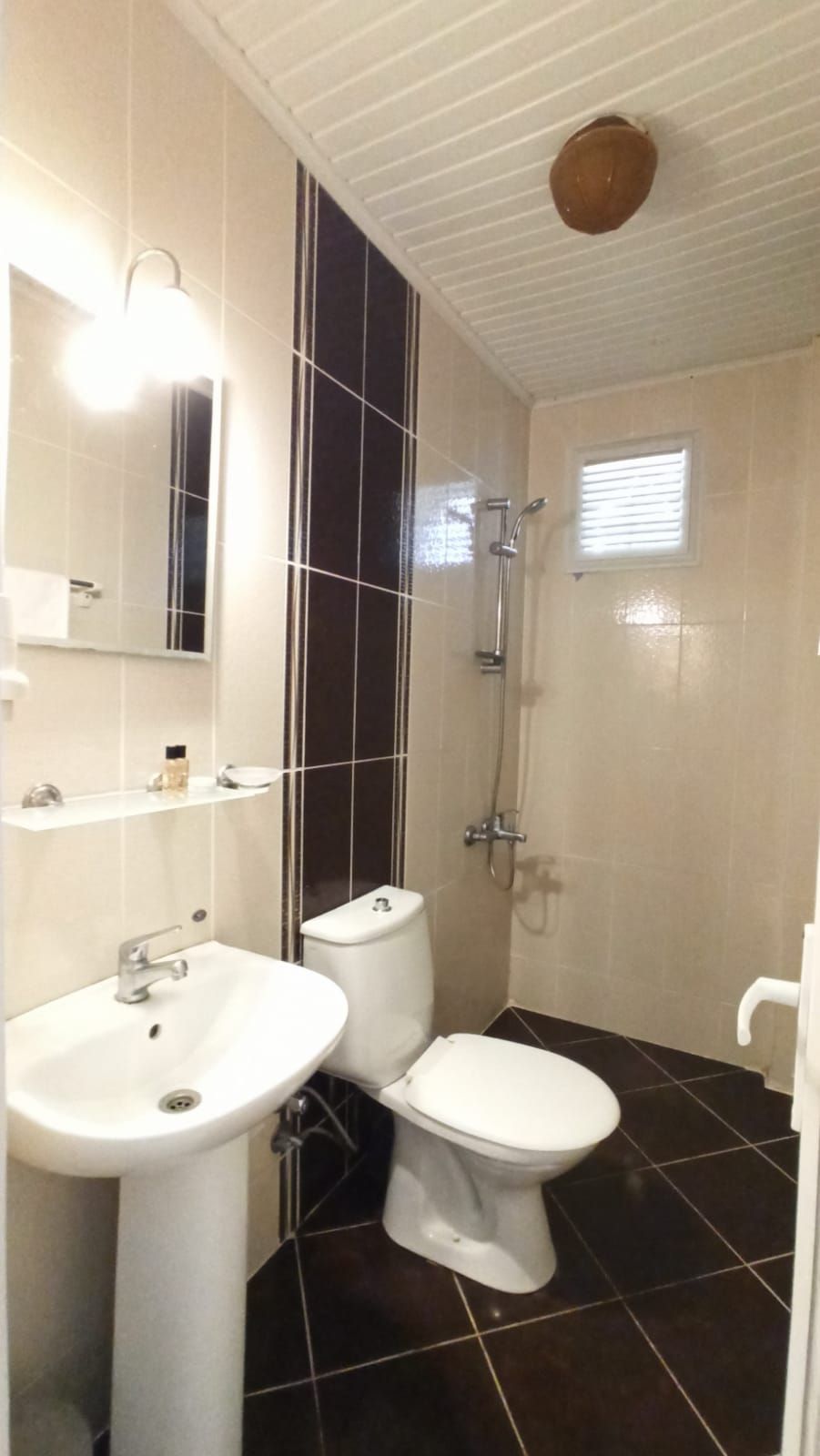 A bathroom with a white sink, a toilet, a shower, and a mirror.