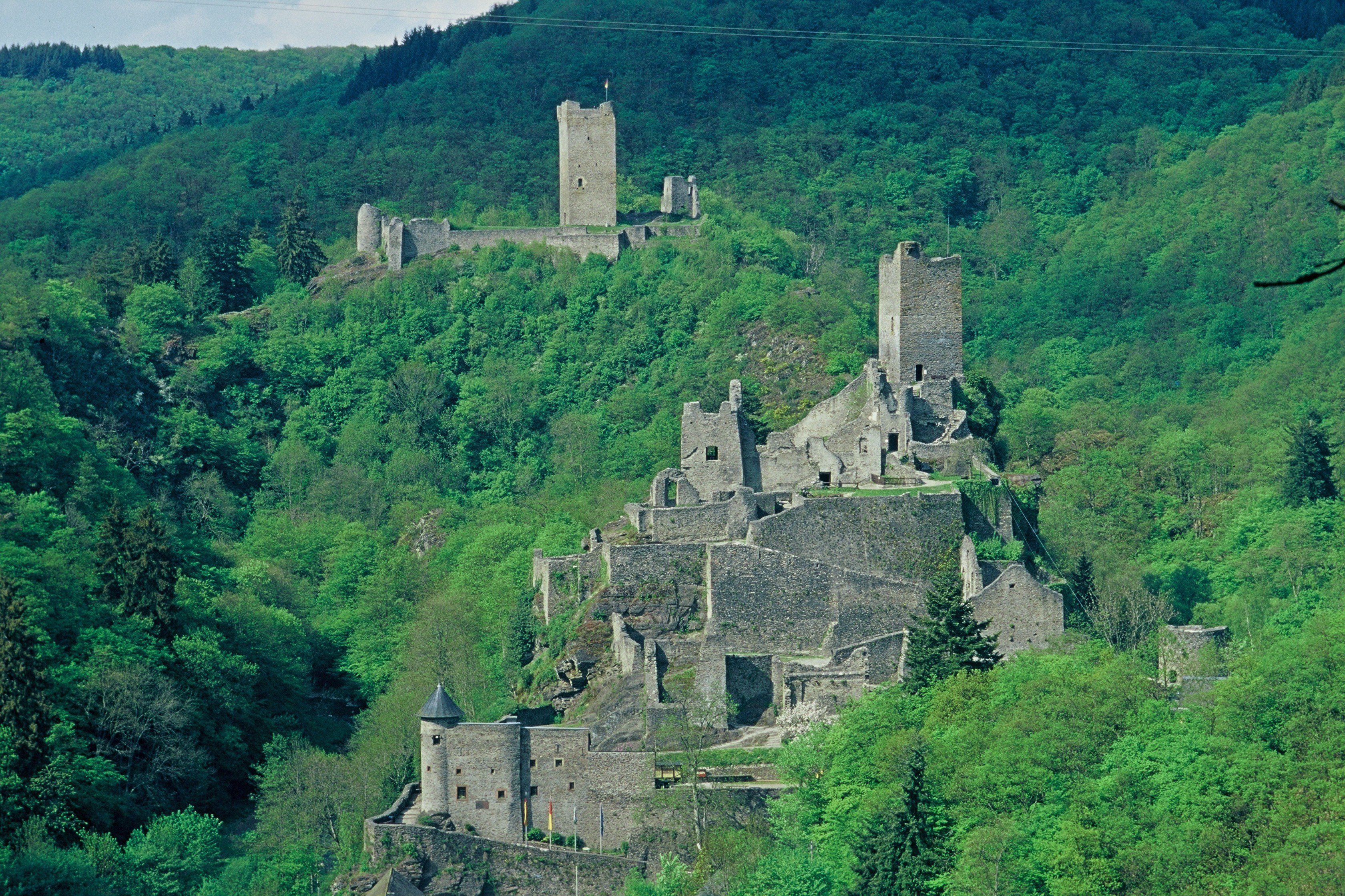 A historic castle complex with multiple towers and ruins, surrounded by dense green forest.