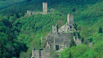 A historic castle complex with multiple towers and ruins, surrounded by dense green forest.