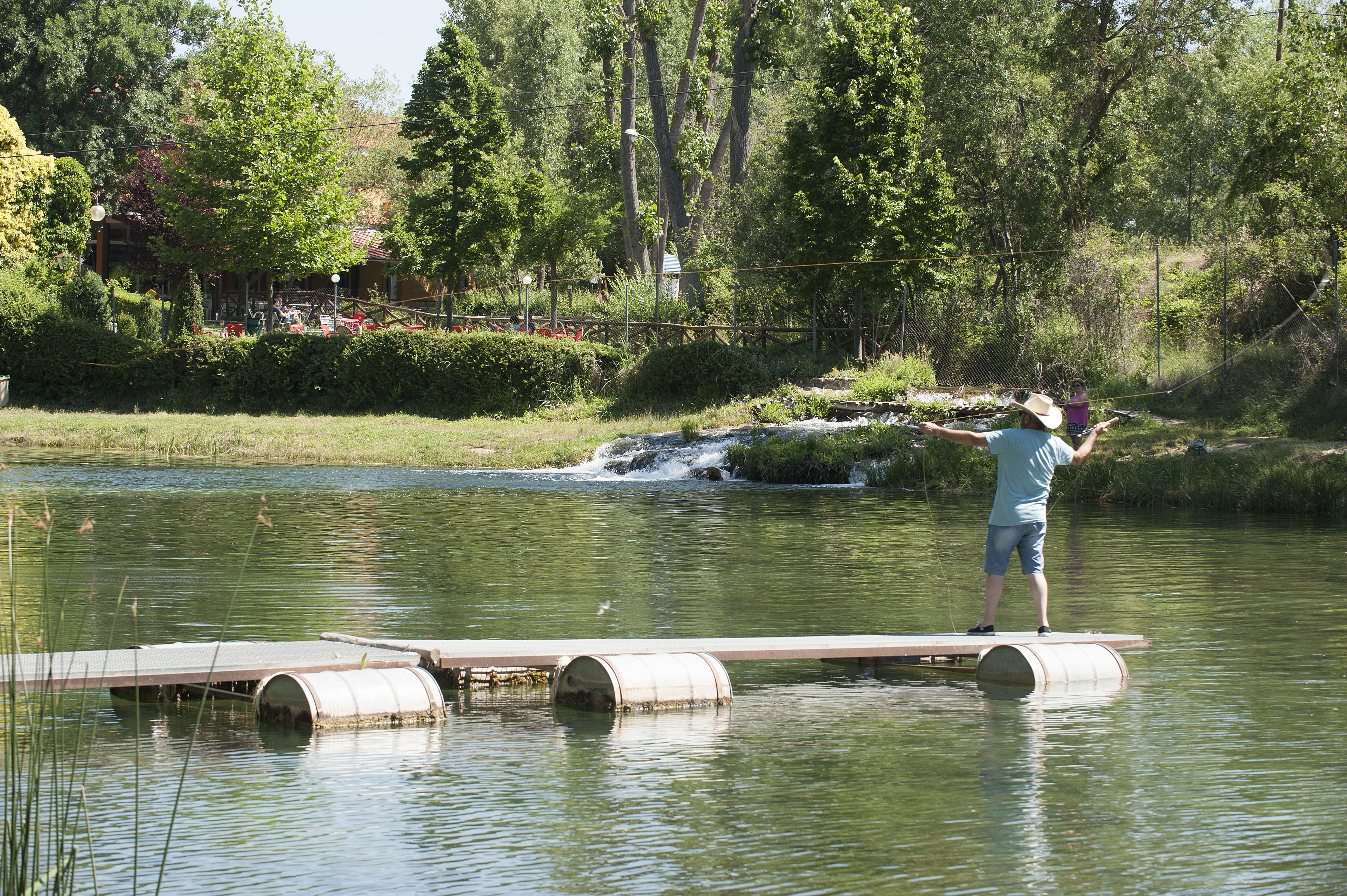 A person standing on a wooden platform over water, surrounded by greenery and trees.
