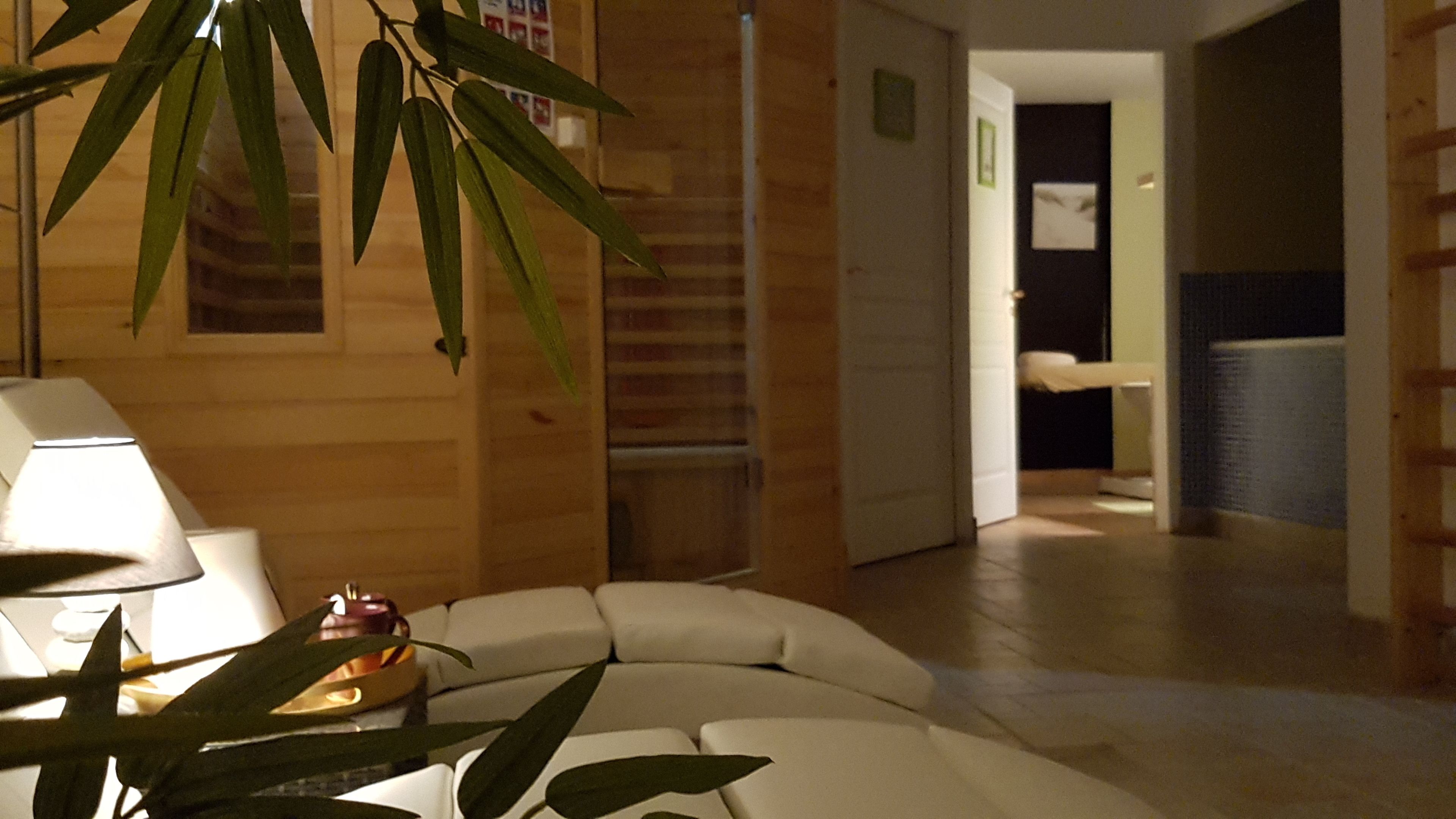 Un salon moderne avec un canapé, une lampe et une plante en pot.