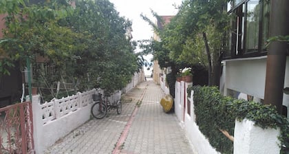 Erikli Tatil Evi 19