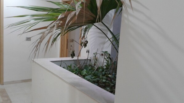 Interior - Diar Al Yassamine-Hammamet Nord (Hammamet)