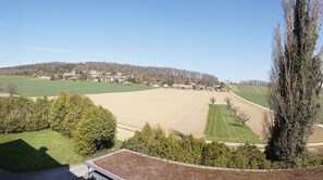 A residential area with houses, a large open field, and a hill in the background. - Klosterhotel Kreuz (Metzerlen)