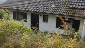 A single-story house with a tiled roof and white walls, surrounded by overgrown vegetation. - Herrmanns - Ferienhaus (Zandt)