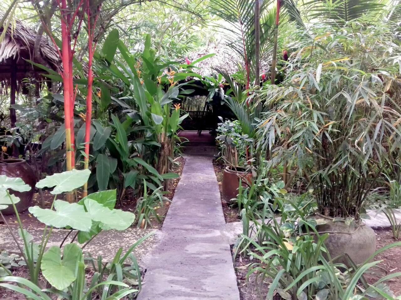 Un chemin en béton traverse un jardin luxuriant où poussent différentes espèces de plantes, et on aperçoit, au fond, une construction dont le toit est fait de chaume.