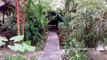 Un chemin en béton traverse un jardin luxuriant où poussent différentes espèces de plantes, et on aperçoit, au fond, une construction dont le toit est fait de chaume.