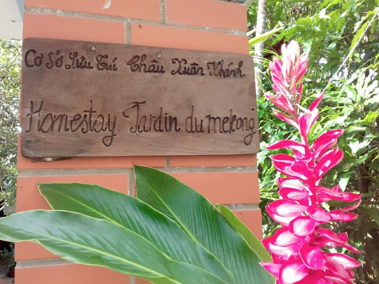 A wooden sign with text in a foreign language, a large green plant, and a pink flower.
