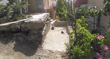 Erikli Tatil Evi 60