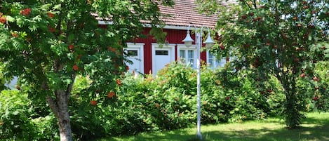 Terrein van de accommodatie