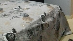 Unclassified image, 2 of 6, button - Studio Islane 5 (Agadir)