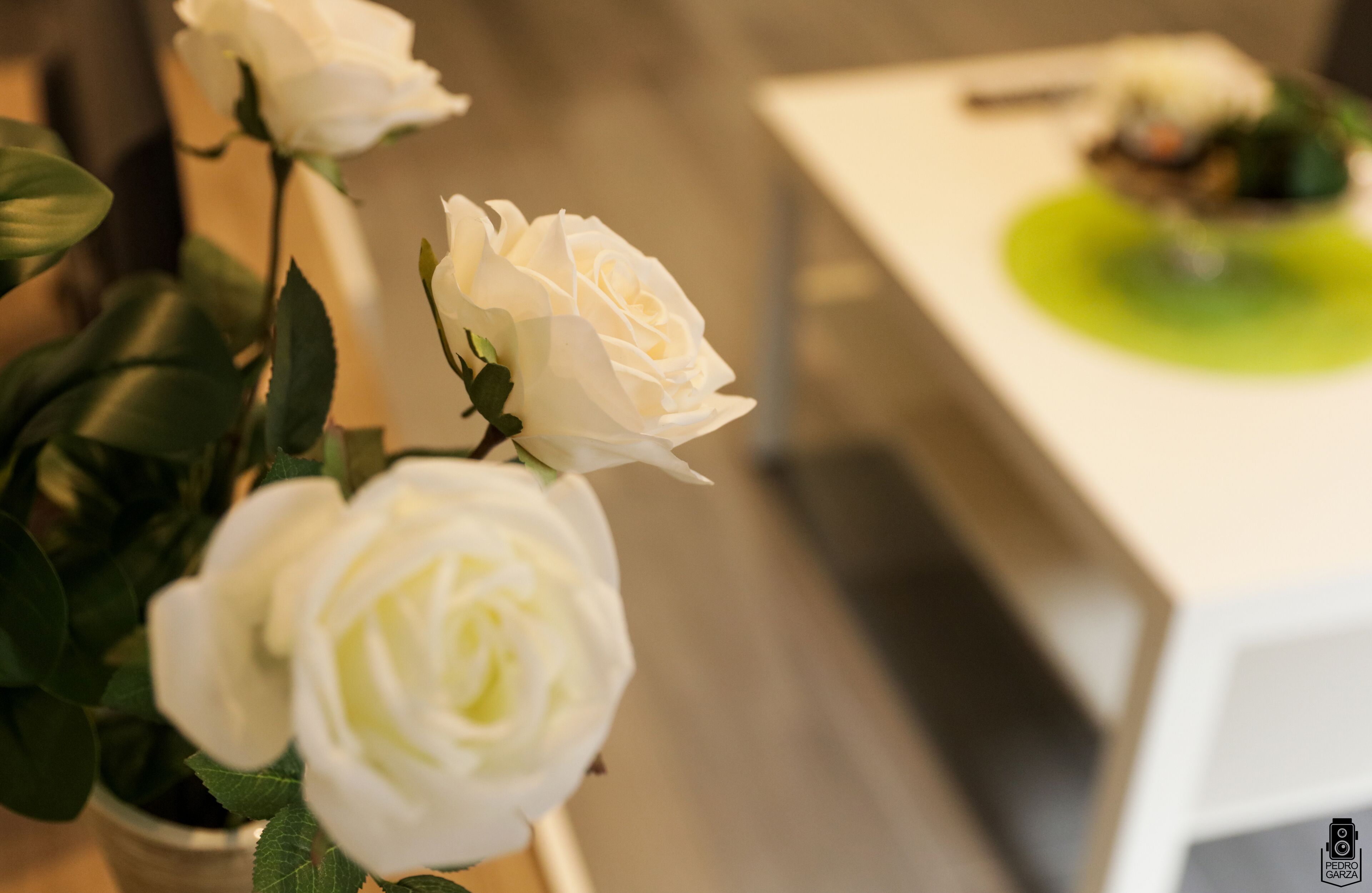 A white rose in a vase, a table with a green dish, and a blurred background.