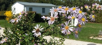 Camping des Platanes