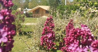 Camping des Platanes