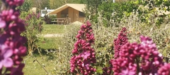 Camping des Platanes