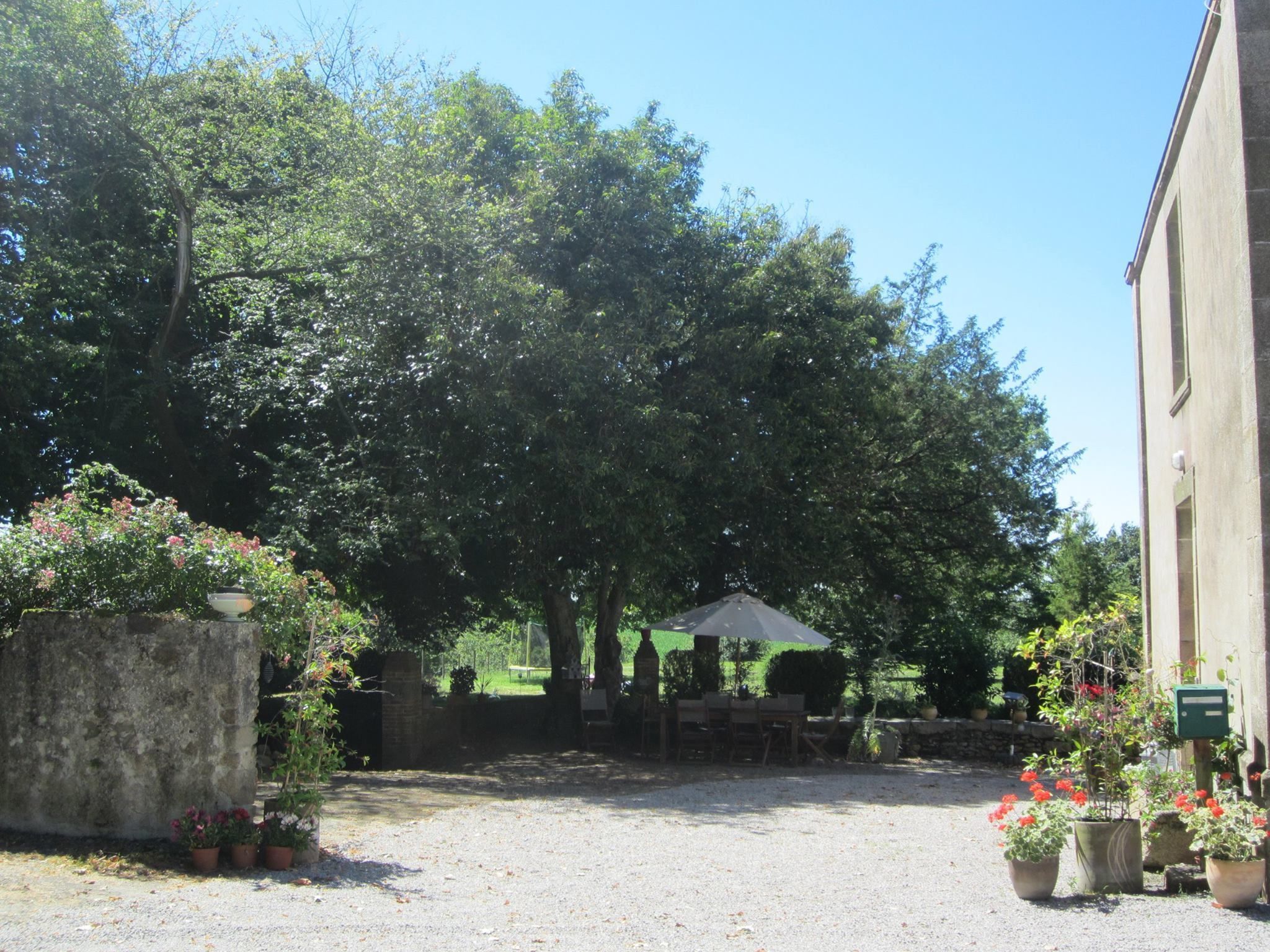 A courtyard with a gravel path, potted plants, and a building on the right.