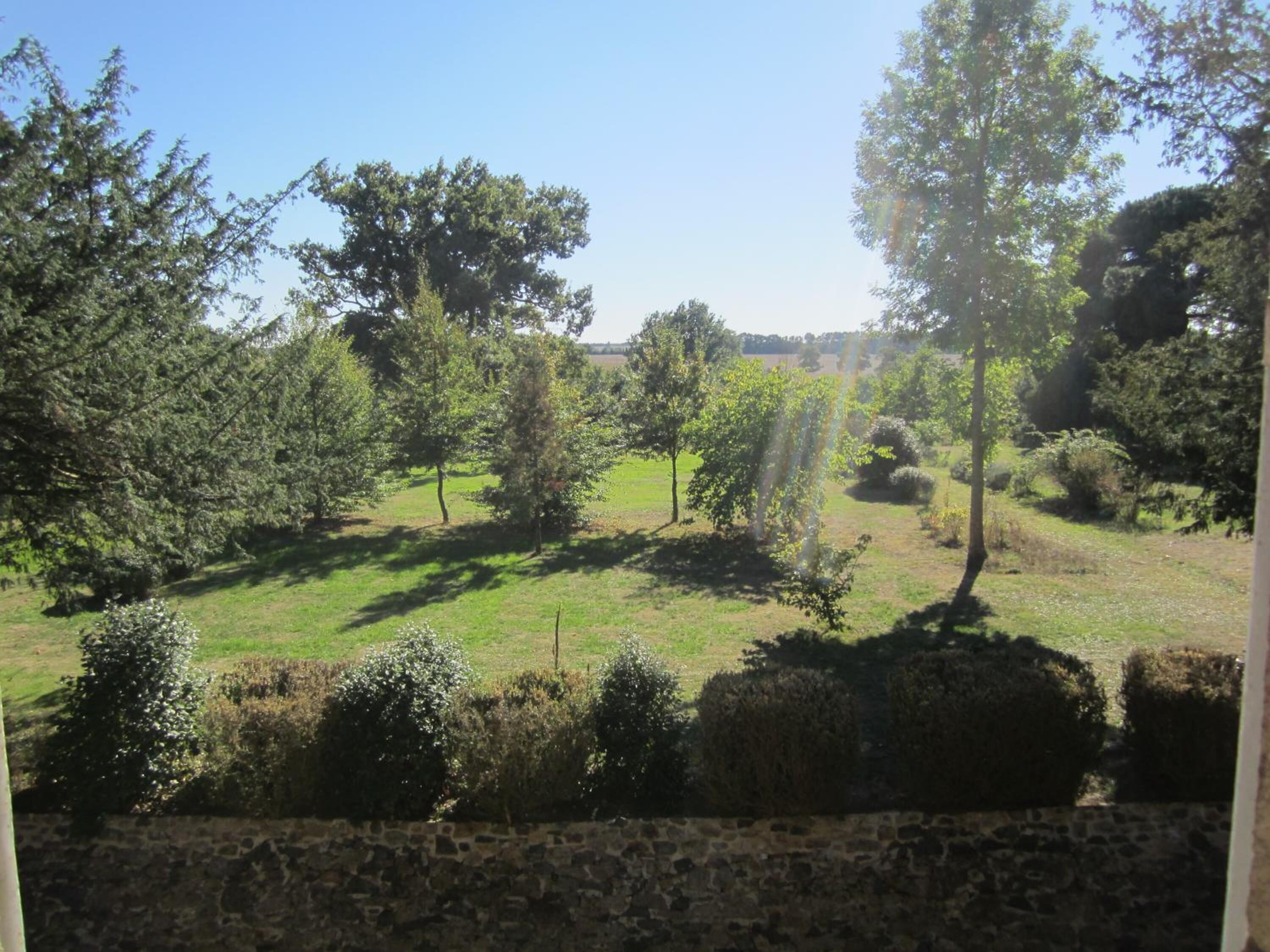 A view of a grassy field with trees and a stone wall in the foreground.