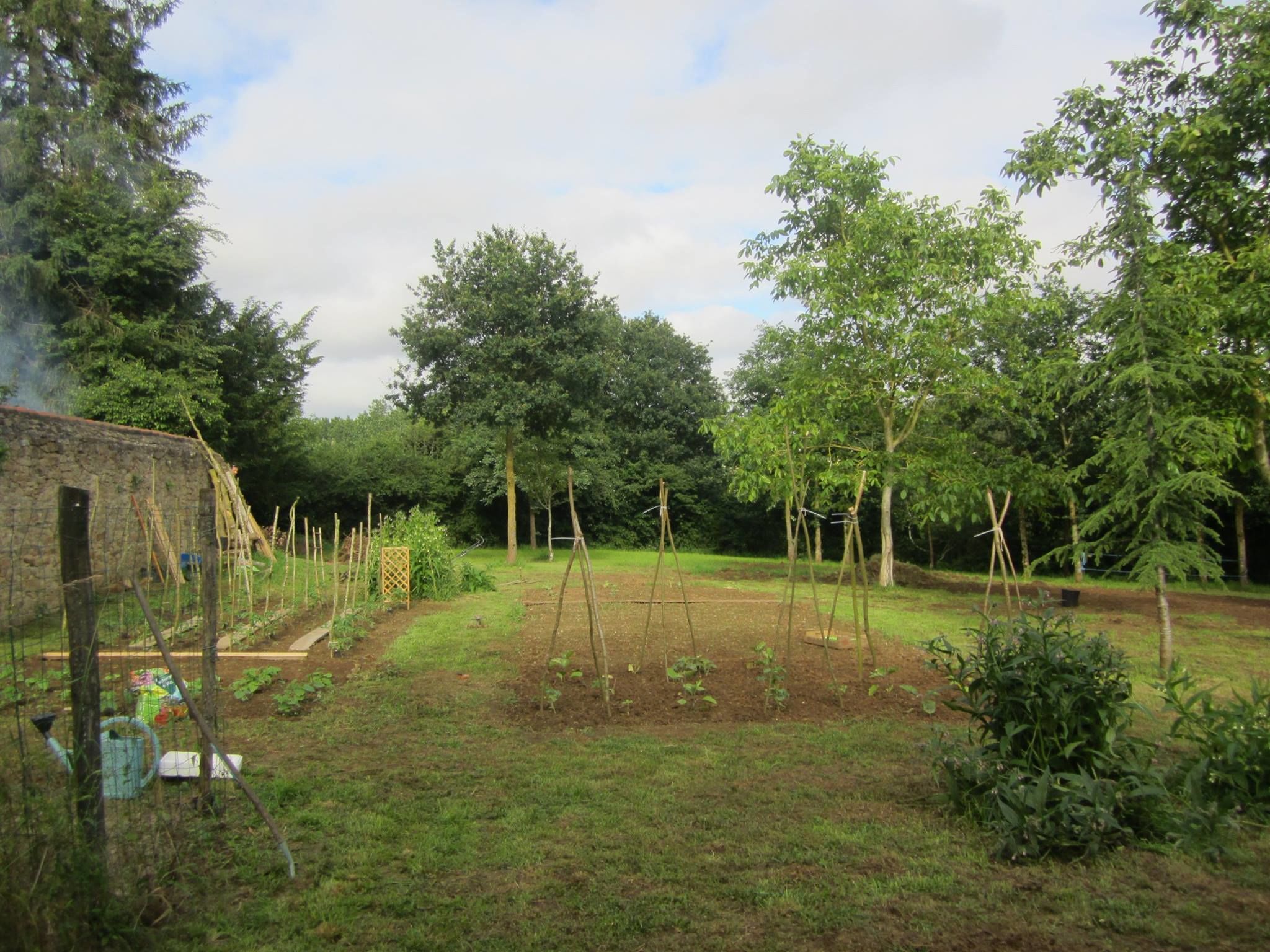 A garden with a stone wall, various plants, and trees.