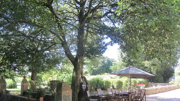 Un espace de restauration en plein air avec une table et des chaises placées sous un grand parasol, entouré d’arbres et d’un mur de pierre.