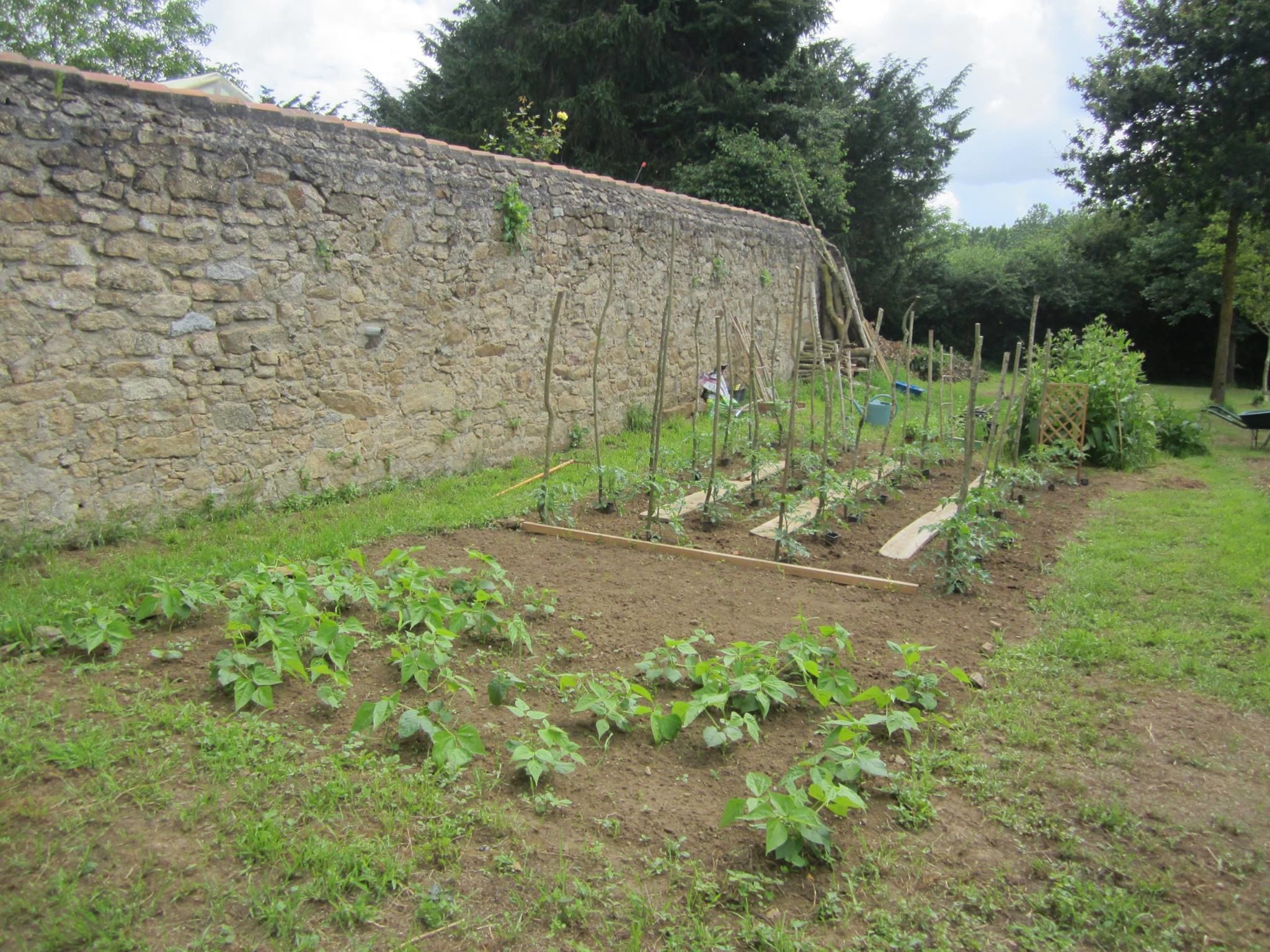 Un jardin avec des plates-bandes surélevées et un mur en pierre.