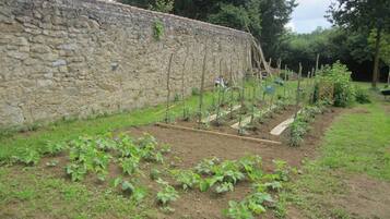 Un jardin avec des plates-bandes surélevées et un mur en pierre.