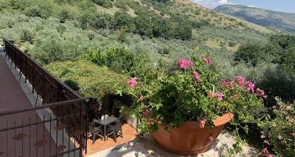 Agriturismo Torre Ercolana