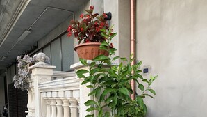 Een betegeld terras met potplanten en een decoratieve balustrade.