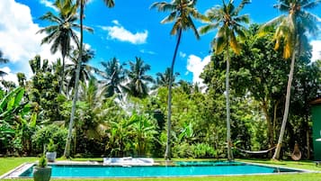 Outdoor pool, sun loungers