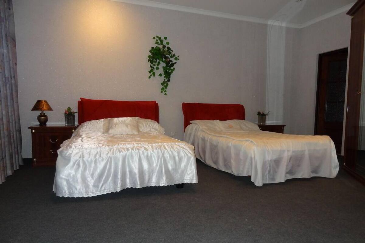 A room with two beds, a nightstand with a lamp, and a plant on the wall.