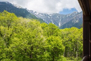 Ein Blick auf eine gebirgige Landschaft mit dichtem, grünen Wald im Vordergrund und schneebedeckten Gipfeln im Hintergrund.
