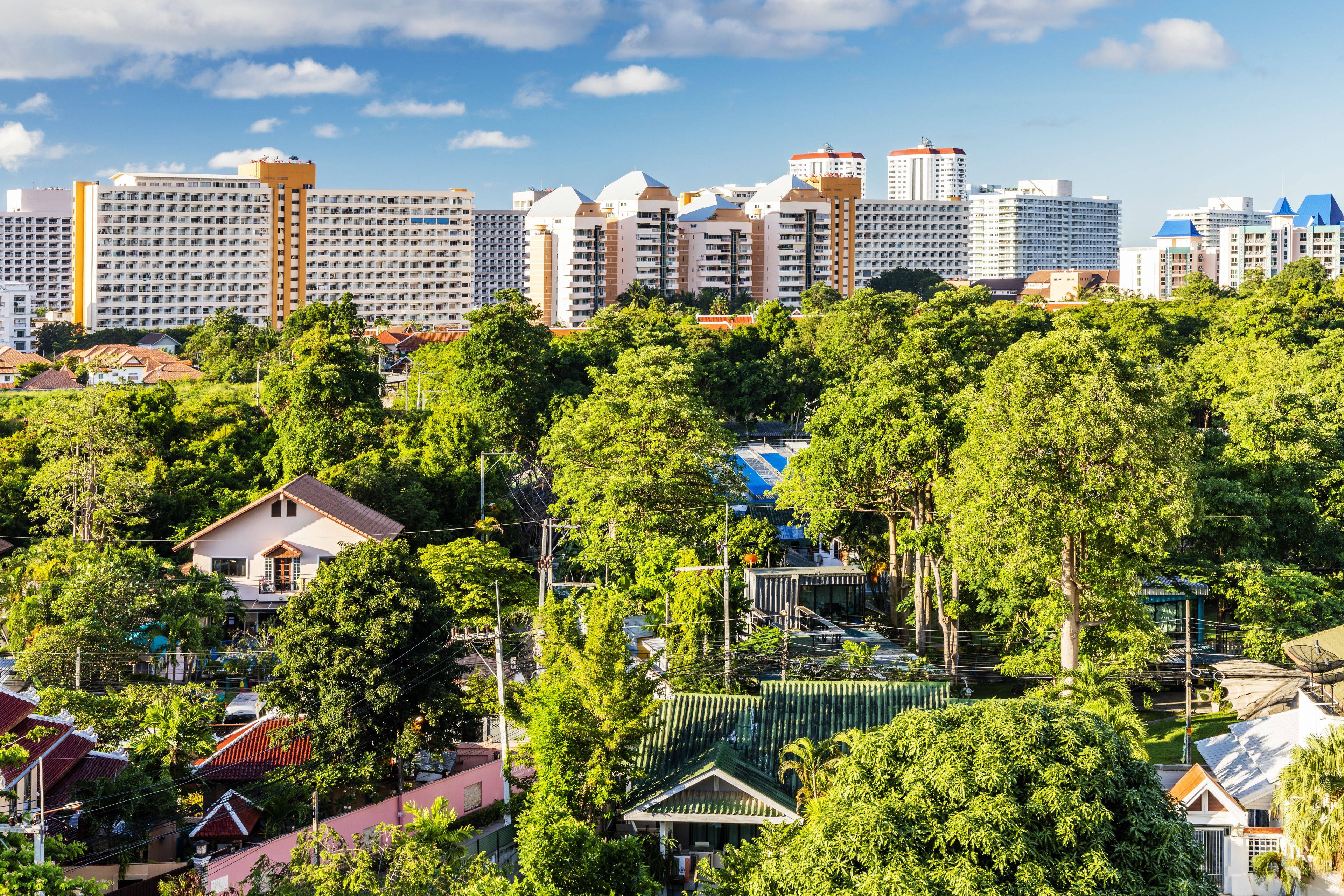 A cityscape with high-rise buildings and dense greenery.