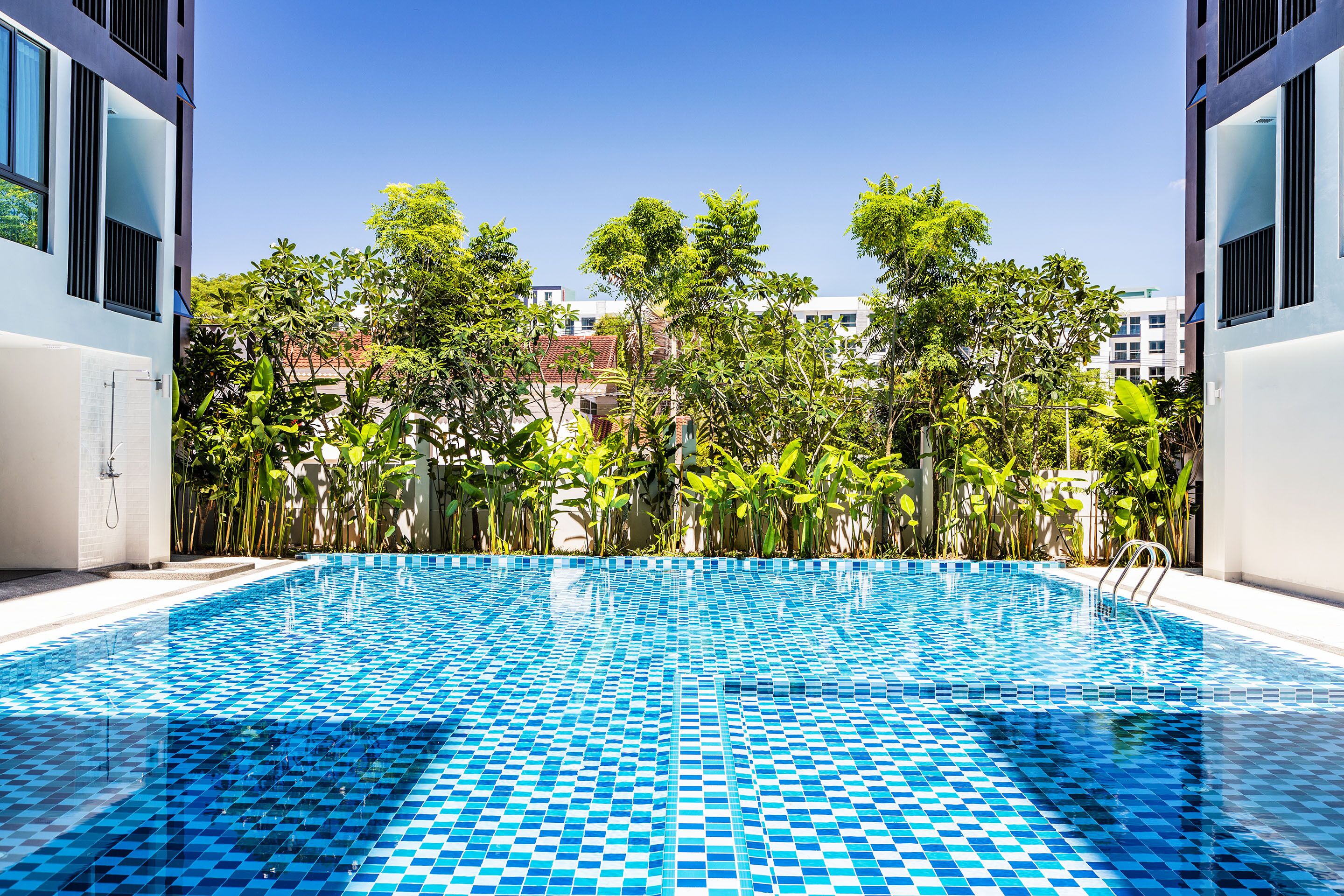 outdoor pool, pool loungers