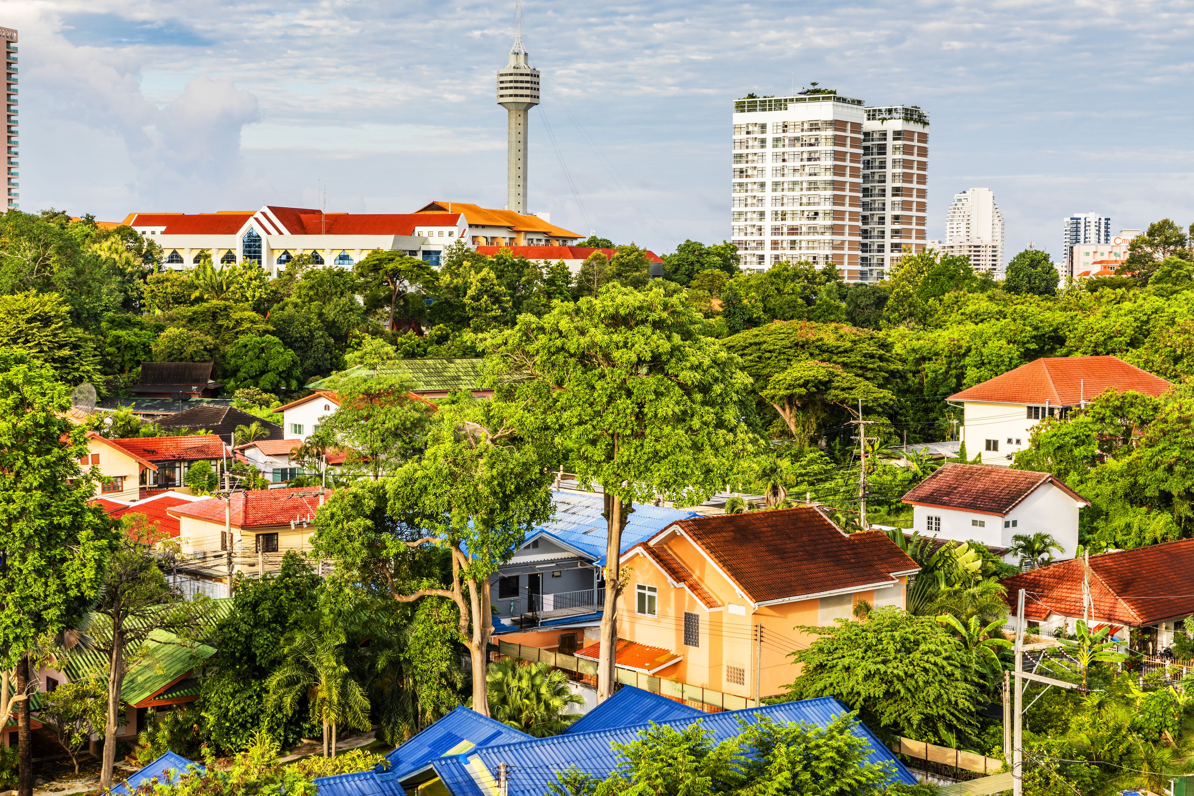 A residential area with houses, a tower, and a high-rise building.