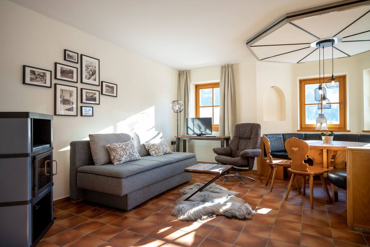 Un salon avec un canapé gris, une table à manger en bois et un téléviseur. Des tableaux encadrés ornent le mur et un tapis en fourrure est posé sur le sol.