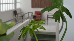 A modern interior with a staircase, a red chair, and a large window. - Hotel Río Puebla Centro (Puebla)