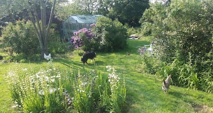 Kingsmede Bed & Breakfast
