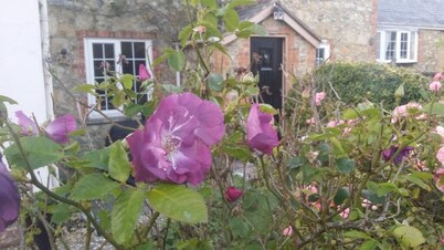 金斯梅德家庭旅馆