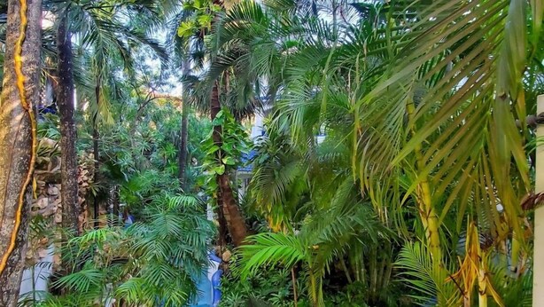 A lush indoor garden with a blue water feature and various tropical plants. - Natz Ti Ha H101 by PRP (Playa del Carmen)
