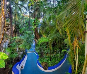 A lush indoor garden with a blue water feature and various tropical plants. - Natz Ti Ha H101 by PRP (Playa del Carmen)