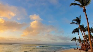 A beach with palm trees and a clear sky. - Natz Ti Ha H101 by PRP (Playa del Carmen)