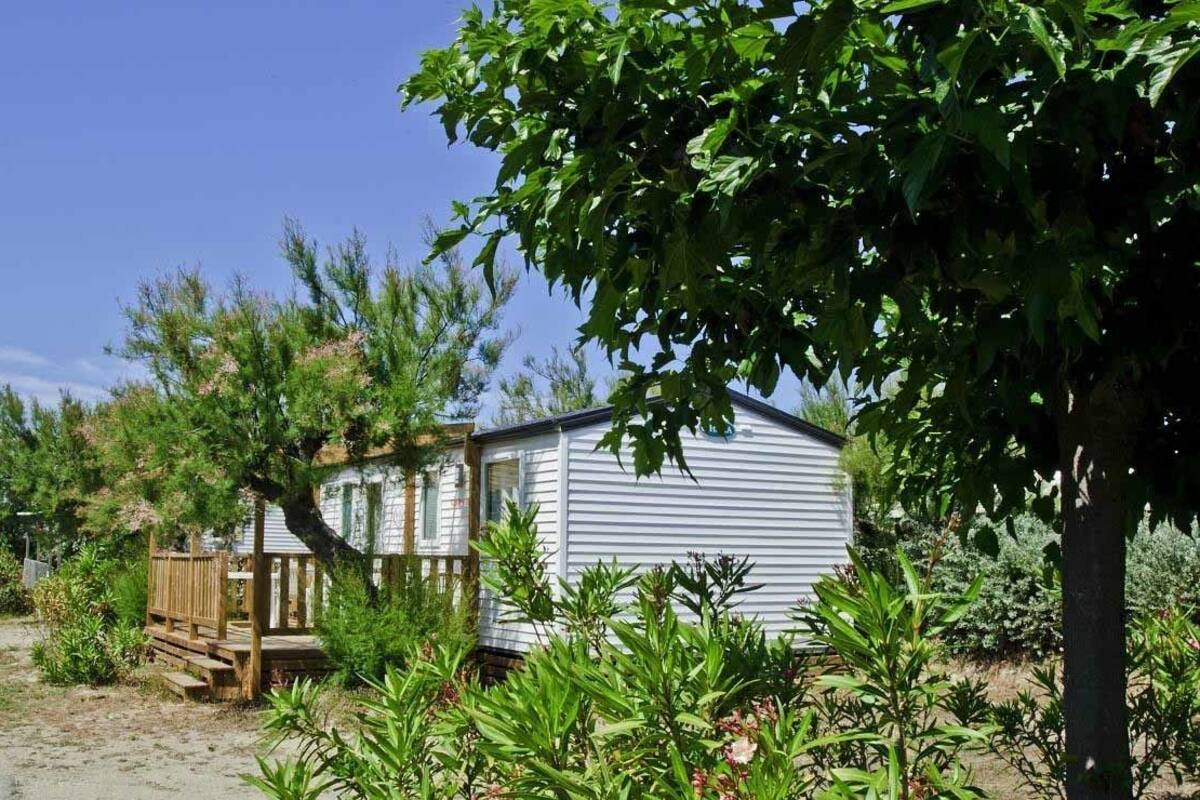 Une maison mobile dotée d’une véranda, entourée de différentes plantes et d’arbres.