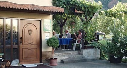 Weingut & Gästehaus Kaufmann-Schneider