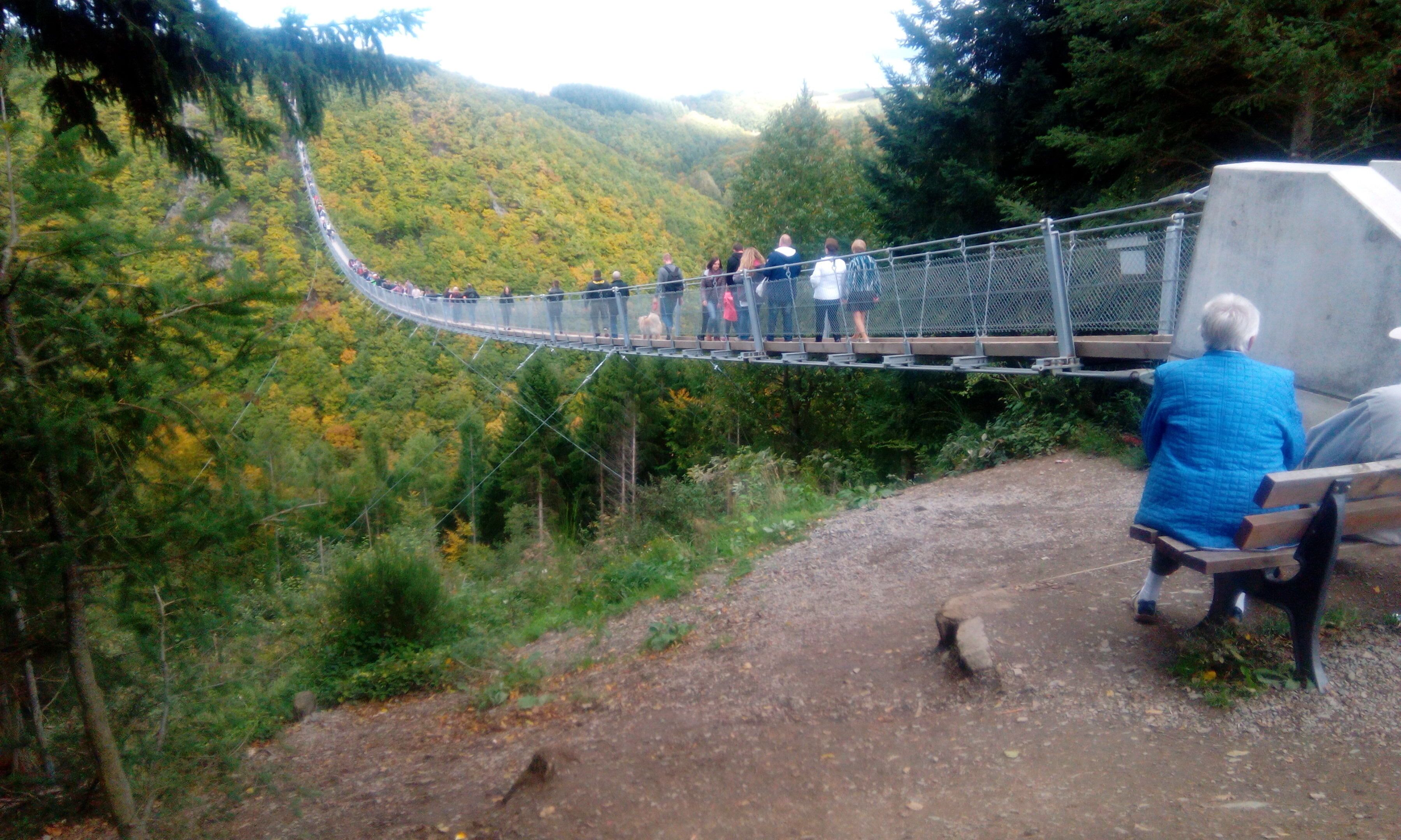 Eine Hängebrücke in bewaldeter Landschaft mit einem Feldweg und einer Bank.