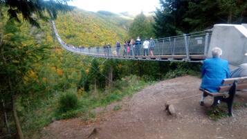 Un puente colgante en un área boscosa, con un sendero de tierra y un banco.