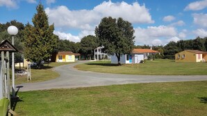 Un barrio residencial con casas, un camino pavimentado y un árbol grande.
