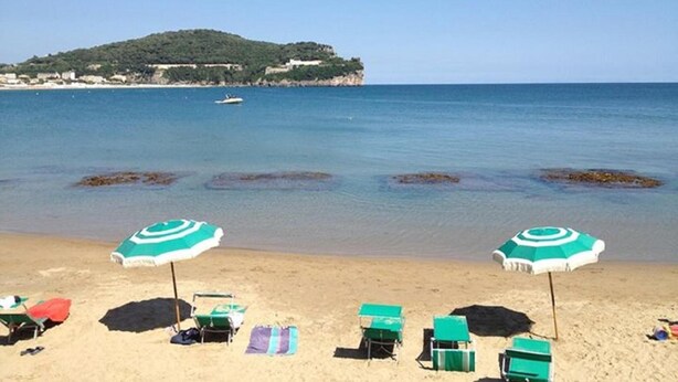 A beach with several green and white umbrellas, beach chairs, and towels.