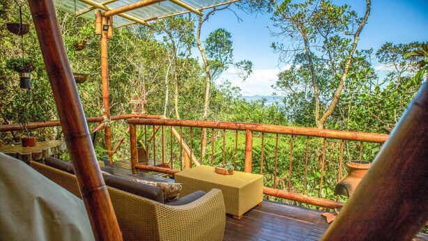 Une terrasse en bois, agrémentée de meubles en osier et d’une balustrade en bambou, qui offre une vue imprenable sur une forêt luxuriante.